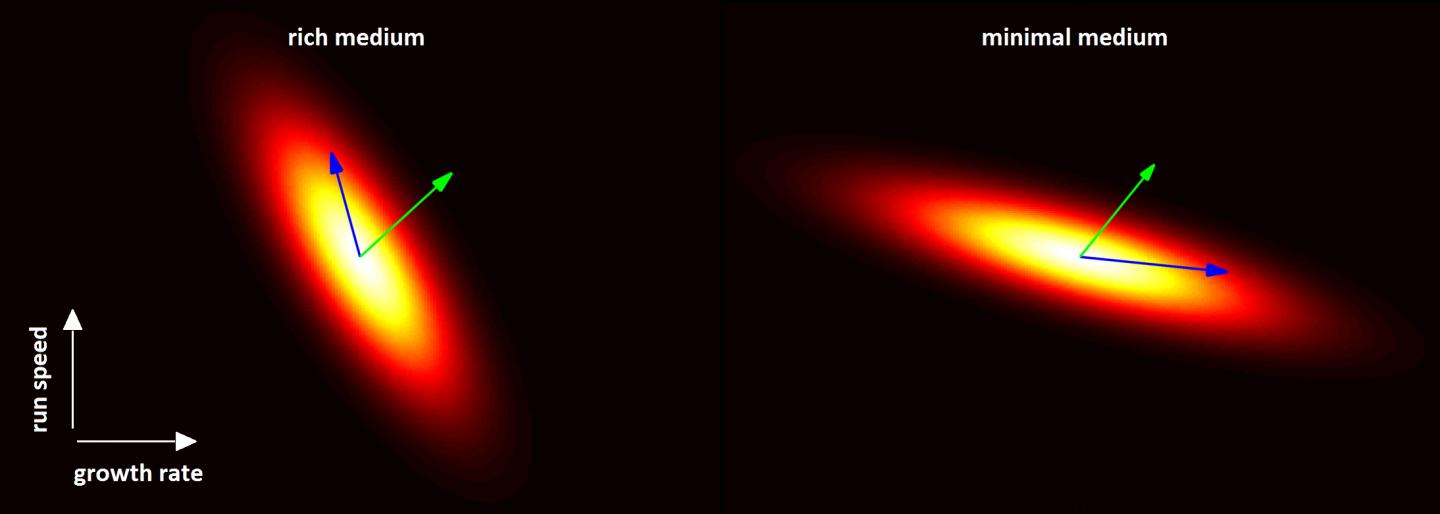 Kuehn Research Image Evolutionary Trajectory