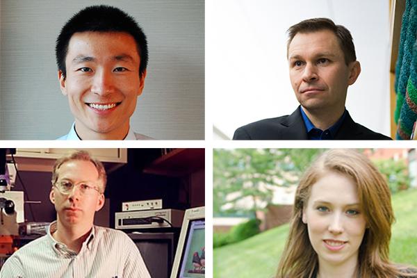 Harvard Medical School School Scientists Receive NIH Director's Awards