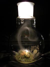 Lab Experiment