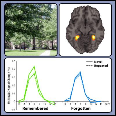 Conscious and Unconscious Memory