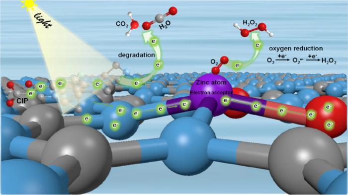 Direct charge transfer mediated by asymmetrically coordinated Zn–N₂O₂ sites in graphitic carbon nitride toward water purification with hydrogen peroxide photosynthesis
