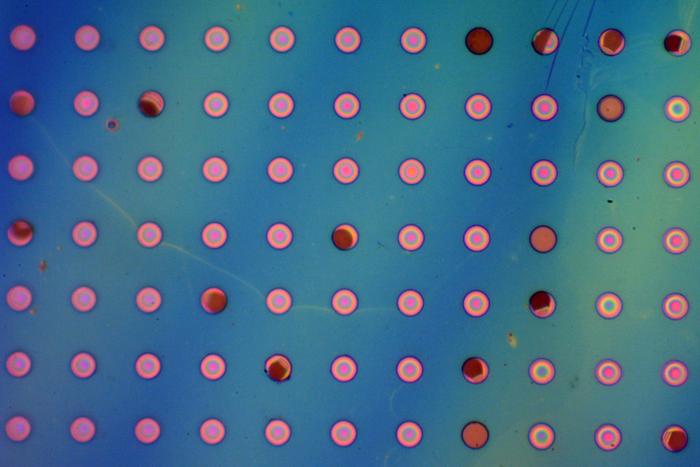 A grid of microwells