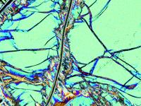 Olivine Crystal