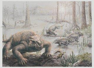 Late Permian pareiasaurs