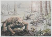 Late Permian pareiasaurs