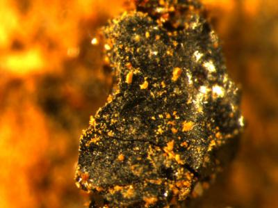 Chemical Analyses Uncover Secrets of an Ancient Amphora