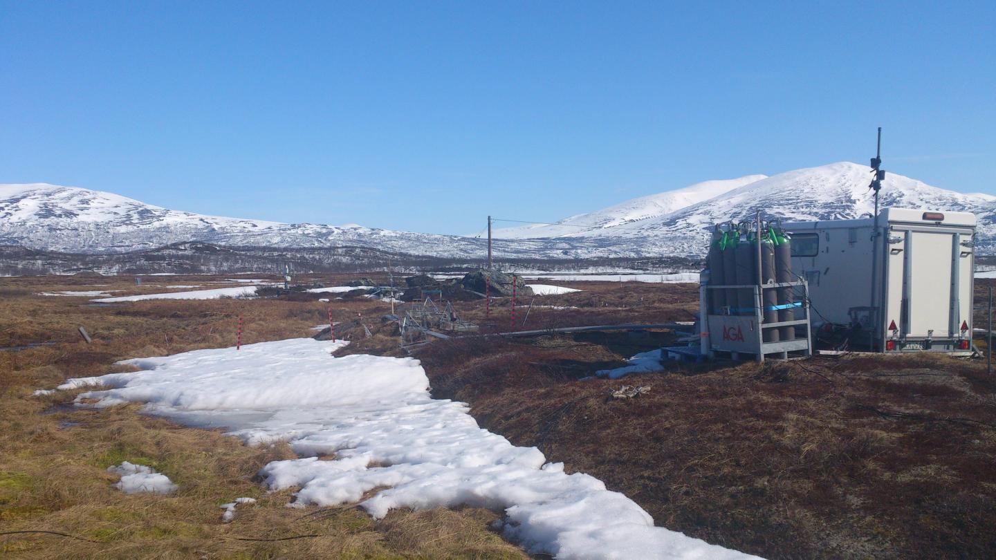 Stordalen Mire study Site
