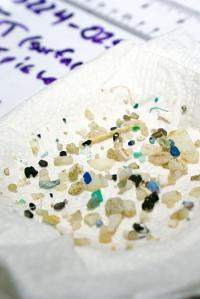 New Study in <i>Science</i> Calculates Amount of Plastic Waste Going into the Ocean (1 of 2)