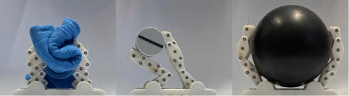 Multimode Gripper