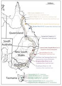 A Platypus Family History
