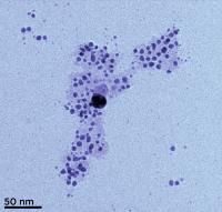 Silver Nanoparticles (2 of 2)
