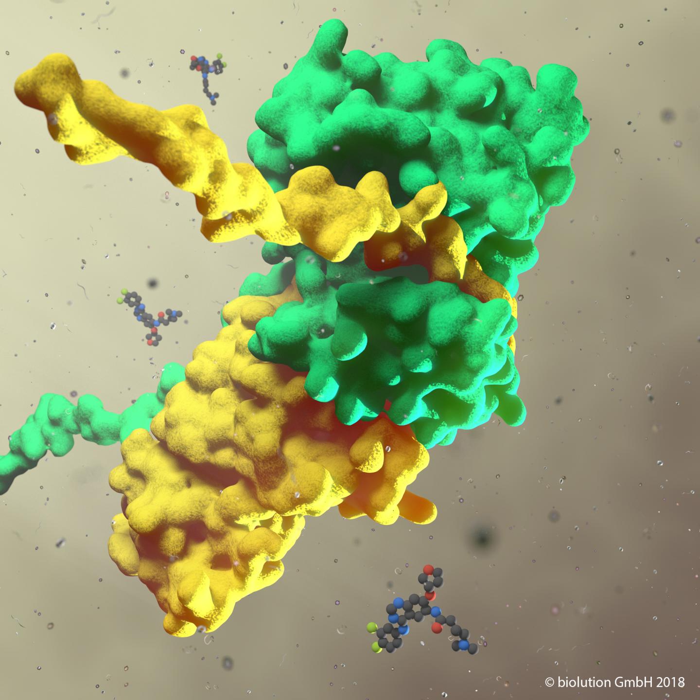 Established Medications Combat Lung Cancer Tumor Growth