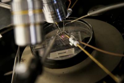 Microplasma Transistor