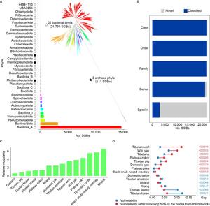 Comprehensive metagenomic survey reveals vast gut microbiome diversity and antibiotic resistome across 14 mammal species on the Tibetan Plateau