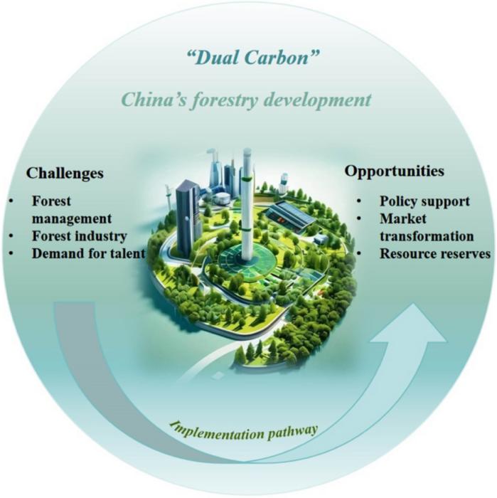 Opportunities and implementation pathway for China’s forestry development under the “Dual Carbon” strategy