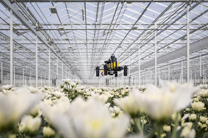 Bee-Nav drone in a flower greenhouse