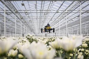 Bee-Nav drone in a flower greenhouse