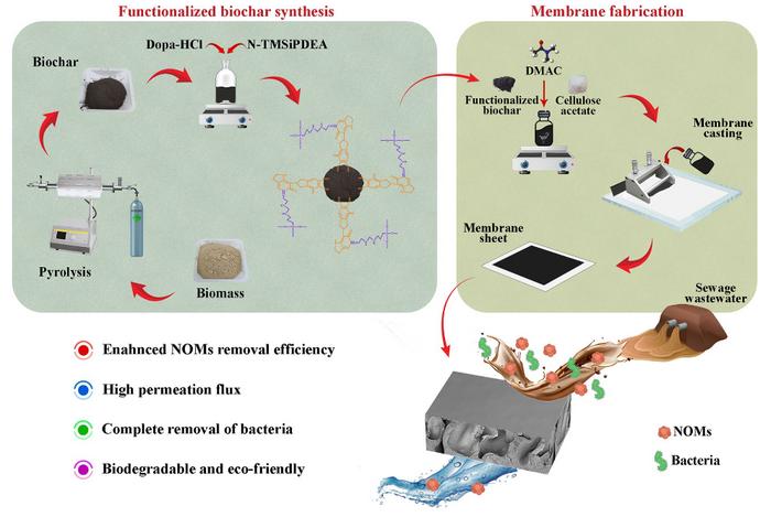 Amine-functionalized biochar/cellulose acetate hybrid membranes for sustainable municipal wastewater treatment