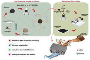 Amine-functionalized biochar/cellulose acetate hybrid membranes for sustainable municipal wastewater treatment