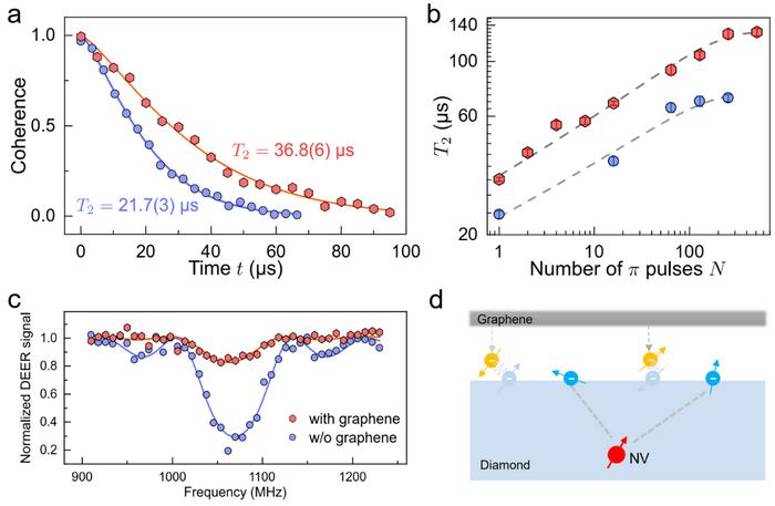 Coherence enhancement of shallow NV centers with graphene deposited and the interpretation of NV coherence enhancement mechanisms.