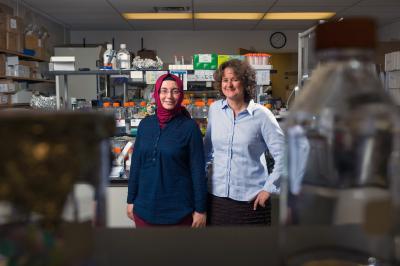 RNA Templating Researchers
