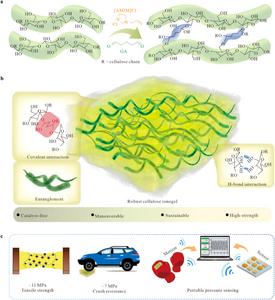 Catalyst-Free Ionogel Turns Bamboo to 11-MPa “Super-Skin” for IoT Sensors