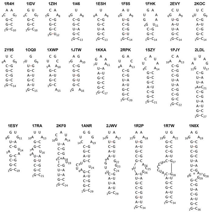 Library of RNA stem loops for molecular dynamics simulations
