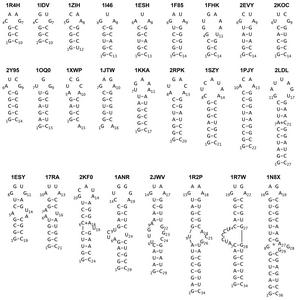 Library of RNA stem loops for molecular dynamics simulations