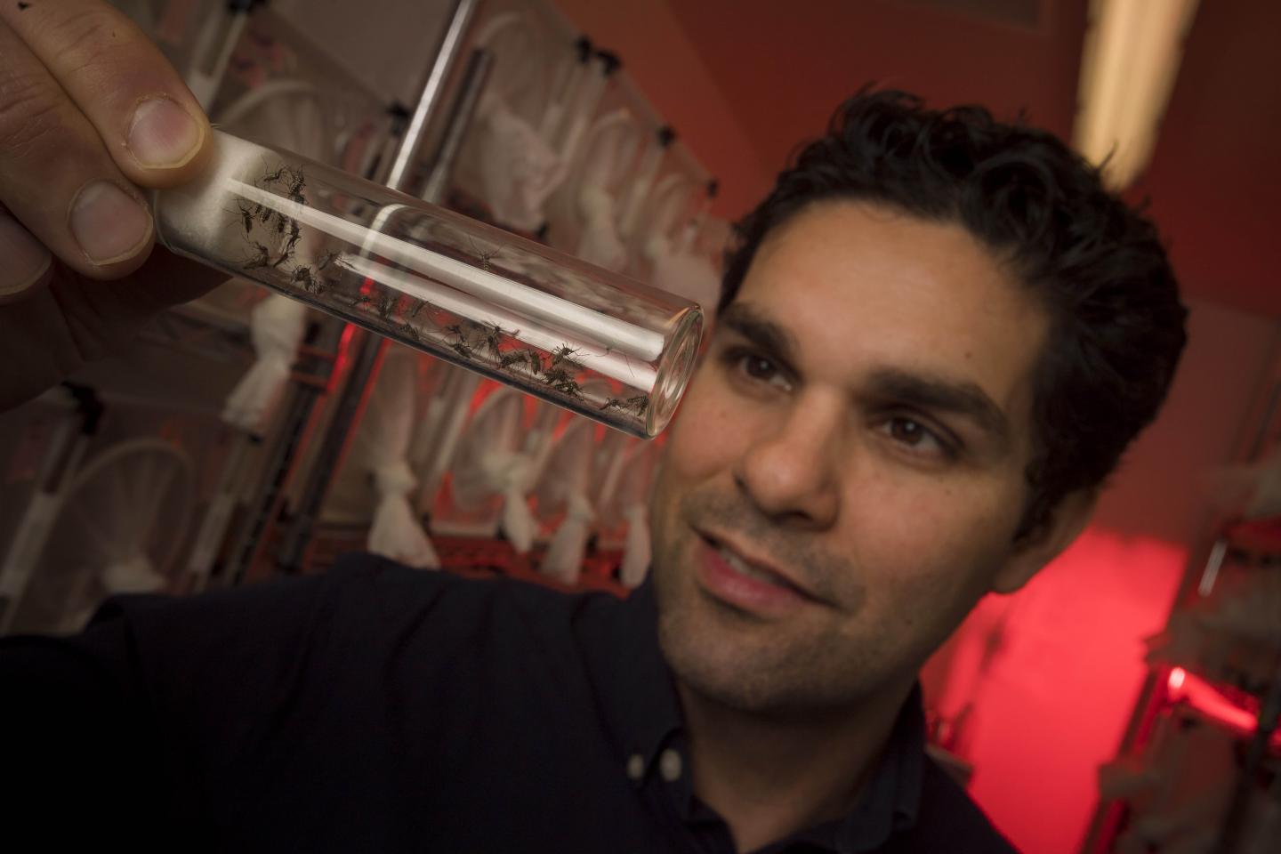 Omar Akbari