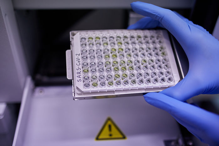 Assay to detect the biochemical messenger TGFβ