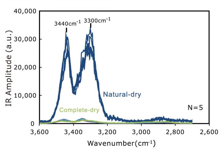 The AFM-IR spectra