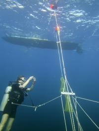 Offshore Sampling