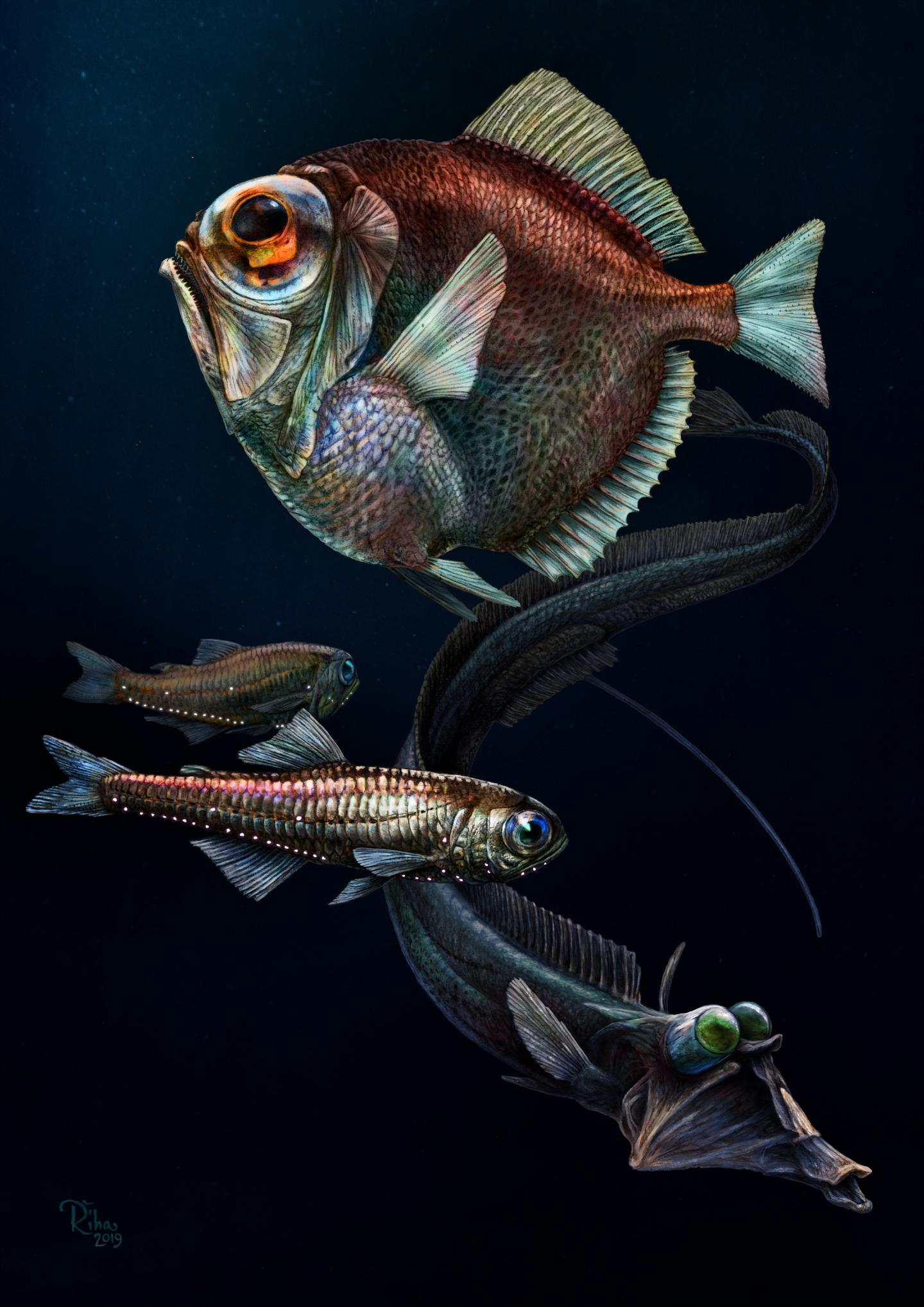 Illustration Deep-Sea Fish with Enhanced Vision