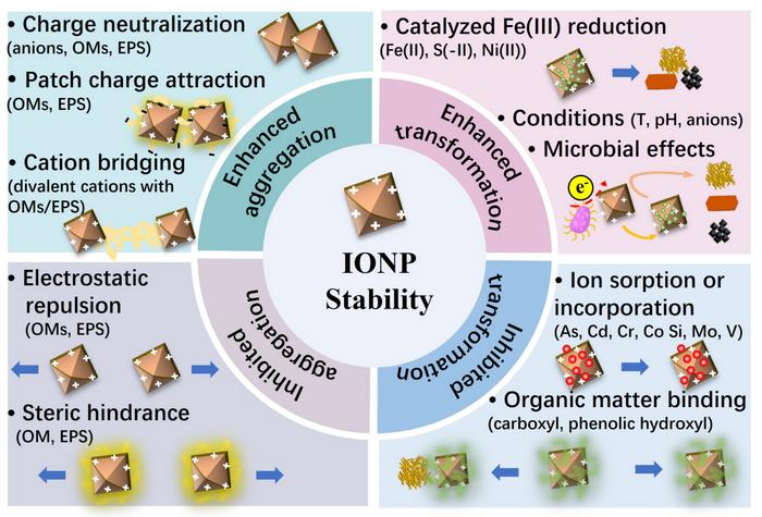 Review on stability of iron (oxyhydr)oxide nanoparticles in natural environments: interactions with metals, organics, and microbes