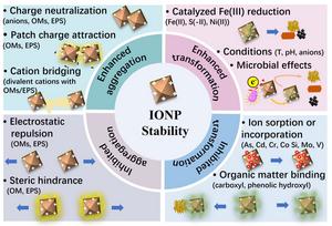 Review on stability of iron (oxyhydr)oxide nanoparticles in natural environments: interactions with metals, organics, and microbes