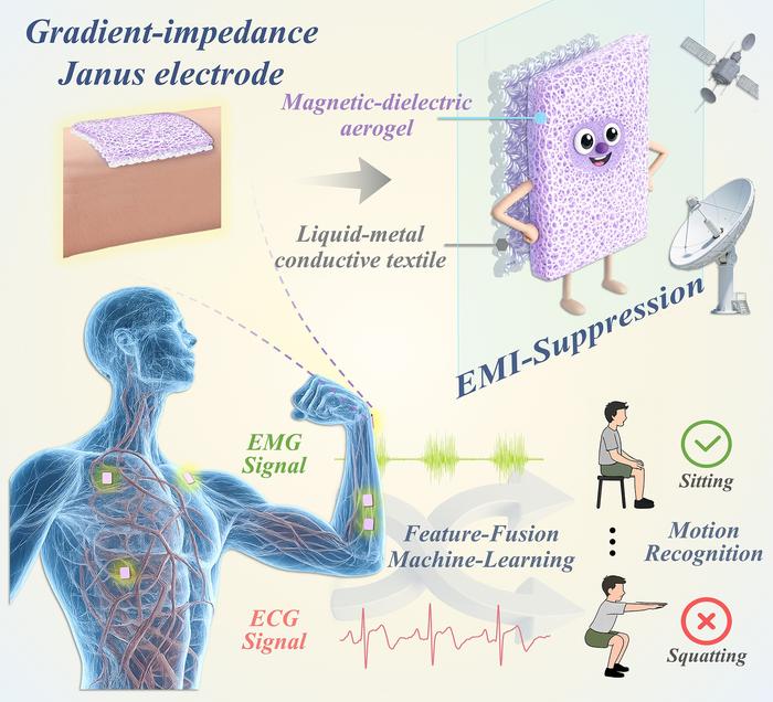 A wearable electrode that keeps muscle and heart signals clear in electronic noise