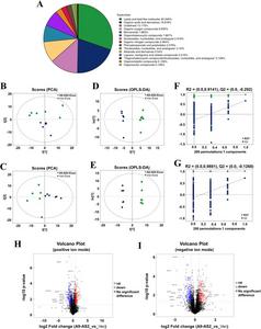 Liquid chromatography-mass spectrometry profiling of metabolomic reprogramming in CAL27 cells after ADAMTS9-AS2-Exos treatment and identification of metabolites.