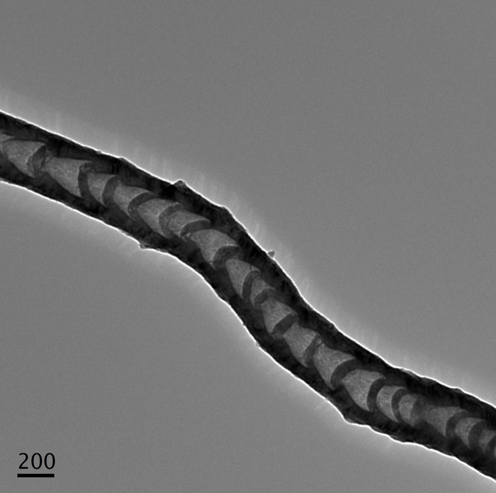 Carbon nanotube