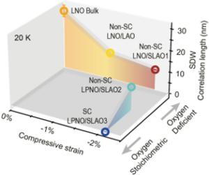 Long-range magnetic order weakens as nickelate films approach superconductivity