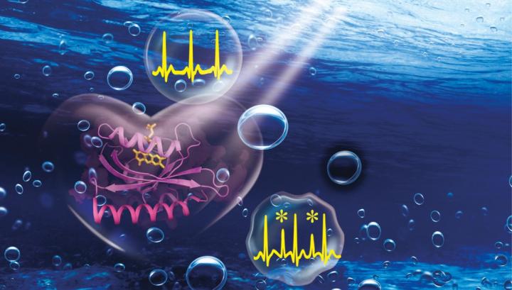 Cardiovascular Disease Treatment