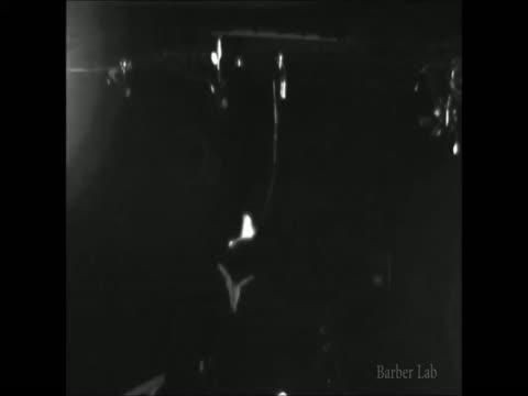 The Ancient Arms Race Between Bats and Moths (9 of 9)