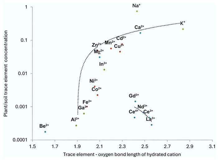 Simple metrics for complex systems: the Me–O distance in hydrated cations is a potential new metric for predicting element uptake by plants