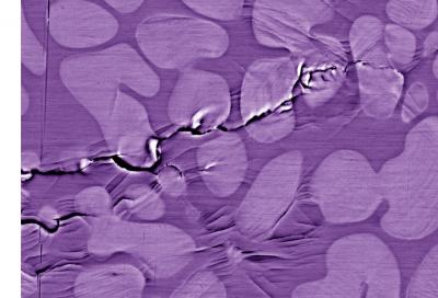 Glass Fatigue Crack
