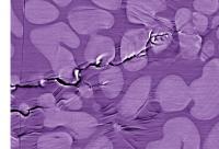 Glass Fatigue Crack