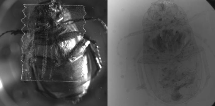 Headline: Improving X-ray resolution with less radiation