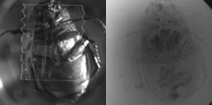 Headline: Improving X-ray resolution with less radiation