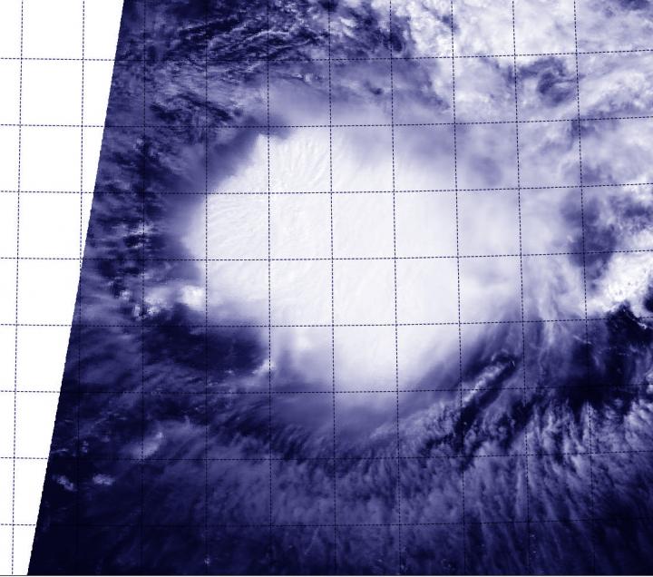 MODIS Image of Ida