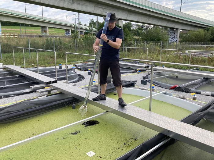 Dr. Martin Schäfer taking a water sample from one of the test ponds