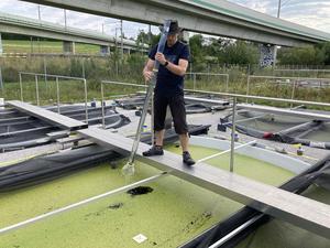Dr. Martin Schäfer taking a water sample from one of the test ponds