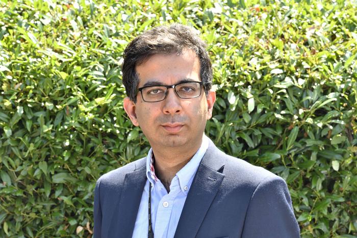 Professor Manish Pareek